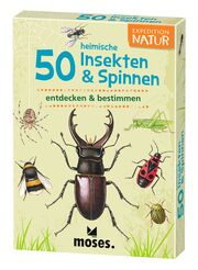 50 heimische Insekten & Spinnen entdecken & bestimmen