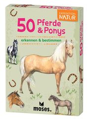 50 Pferde & Ponys entdecken & bestimmen
