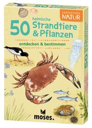 50 heimische Strandtiere & Pflanzen entdecken & bestimmen - Cover