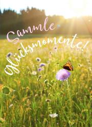 Magnet 'Sammle Glücksmomente' - Cover