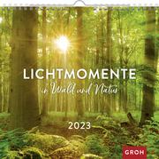 Lichtmomente in Wald und Natur 2023