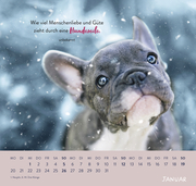 Wandkalender 2025: Für Hundefreunde - Illustrationen 1