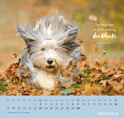 Wandkalender 2025: Für Hundefreunde - Illustrationen 3