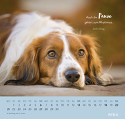 Wandkalender 2025: Für Hundefreunde - Illustrationen 6