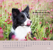 Wandkalender 2025: Für Hundefreunde - Illustrationen 7