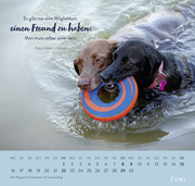 Wandkalender 2025: Für Hundefreunde - Illustrationen 8