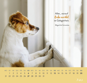 Wandkalender 2025: Für Hundefreunde - Illustrationen 9