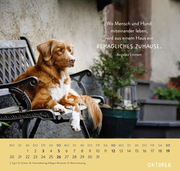 Wandkalender 2025: Für Hundefreunde - Illustrationen 11
