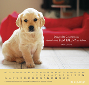 Wandkalender 2025: Für Hundefreunde - Illustrationen 12