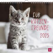 Wandkalender 2025: Für Katzenfreunde - Cover