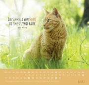Wandkalender 2025: Für Katzenfreunde - Abbildung 1