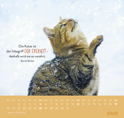Wandkalender 2025: Für Katzenfreunde - Abbildung 4