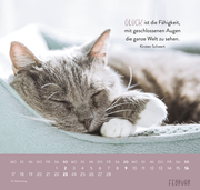 Wandkalender 2025: Für Katzenfreunde - Abbildung 5