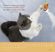 Wandkalender 2025: Für Katzenfreunde - Abbildung 6