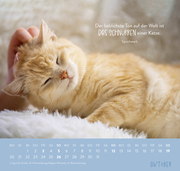 Wandkalender 2025: Für Katzenfreunde - Abbildung 10