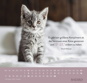 Wandkalender 2025: Für Katzenfreunde - Abbildung 11