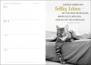 Buchkalender 2025: Für Katzenfreunde - Abbildung 1