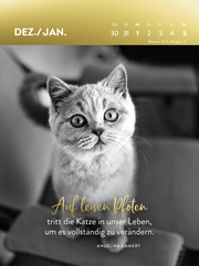 Wochenkalender 2025: Goldene Katzenweisheiten für jeden Tag - Abbildung 1