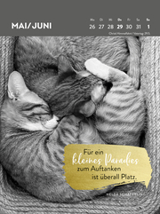 Wochenkalender 2025: Goldene Katzenweisheiten für jeden Tag - Abbildung 3