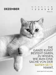 Wochenkalender 2025: Goldene Katzenweisheiten für jeden Tag - Abbildung 6