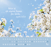Mini-Kalender 2025: Der kleine Glückskalender - Abbildung 1