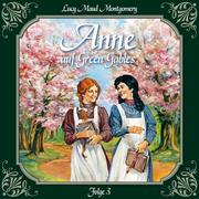 Anne auf Green Gables, Folge 3: Jede Menge Missgeschicke - Cover