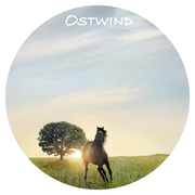 Ostwind - Sticky Notes - Abbildung 3