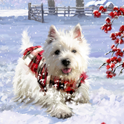 Wunderbare Hunde-Weihnacht - Abbildung 1