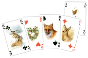 Die beliebtesten Kartenspiele - Rommé, Canasta, Bridge & Co - Abbildung 1
