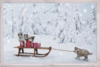 Mini-Adventskalender - Tiere im Schnee - Abbildung 1