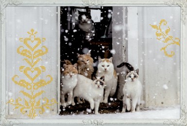 Mini-Adventskalender - Tiere im Schnee - Abbildung 3