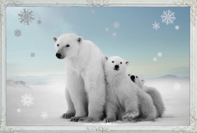 Mini-Adventskalender - Tiere im Schnee - Abbildung 4