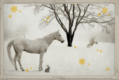 Mini-Adventskalender - Tiere im Schnee - Abbildung 5