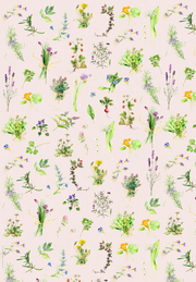 Geschenkpapier-Buch Zauberhafte Blumenwelt M. Bastin - Abbildung 9