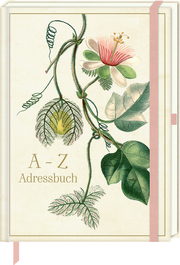 Adressbuch A-Z Sammlung Augustina