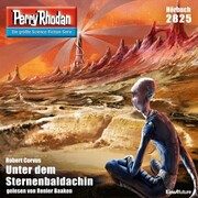 Perry Rhodan 2825: Unter dem Sternenbaldachin - Cover