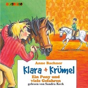 Klara + Krümel (4): Ein Pony und viele Gefahren