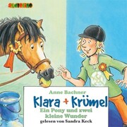 Klara + Krümel (6): Ein Pony und zwei kleine Wunder
