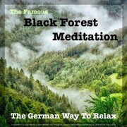 The Famous Black Forest Meditation - Guided Mindfulness Meditation Program for Spiritual & Physical Wellness - Cover