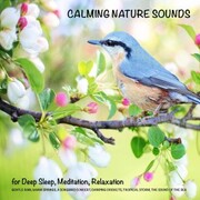 Calming Nature Sounds (without music) for Deep Sleep, Meditation, Relaxation - Cover