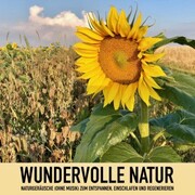 Wundervolle Natur: Naturgeräusche (ohne Musik) zum Entspannen, Regenerieren und Einschlafen - Cover
