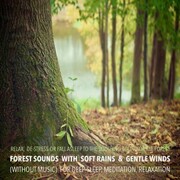 Forest Sounds with Soft Rains & Gentle Winds (without music) for Deep Sleep, Meditation, Relaxation - Cover