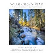 Wilderness Stream (without music) - Peaceful Water Sounds with Deep Forest Ambience - Cover