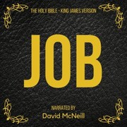 The Holy Bible - Job