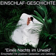 Einschlaf-Geschichte - Eines Nachts im Urwald - Cover