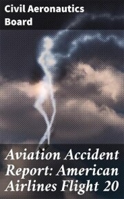 Aviation Accident Report: American Airlines Flight 20