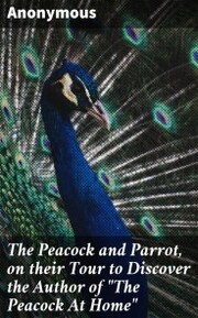The Peacock and Parrot, on their Tour to Discover the Author of 'The Peacock At Home'