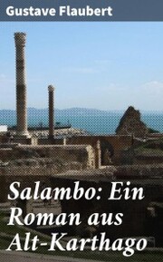 Salambo: Ein Roman aus Alt-Karthago - Cover