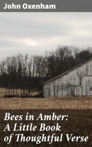 Bees in Amber: A Little Book of Thoughtful Verse - Cover