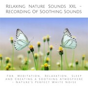 Relaxing Nature Sounds (without music) - Recording Of Soothing Nature Sounds